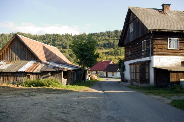 Tak zakłada projekt nowelizacji ustawy o języku polskim oraz o zmianie niektórych innych ustaw. Został przygotowany przez senatorów.