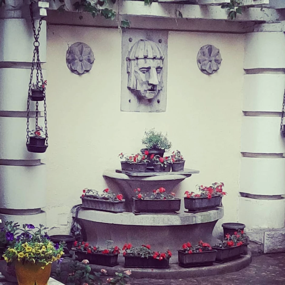 Kuća Vesne Čipčić na Vračaru