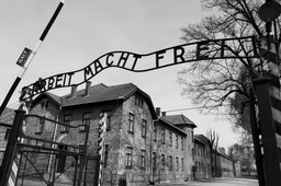 Są zawiadomienia o możliwości złamania art. 55a ustawy o IPN. Kiedy zajmie się nimi prokuratura?