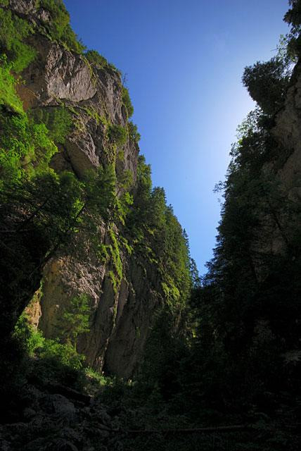 Galeria Polska - Tatry - Wąwóz Kraków, obrazek 17