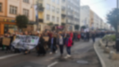 Gdynia: Młodzieżowy Strajk Klimatyczny. "Nie odbierajcie nam Polski"