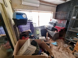 Dantejskie sceny na terenie fundacji. Znaleziono 37 martwych zwierząt, szefowa wpadła w szał