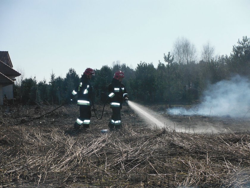 Plaga pożarów w Warszawie.