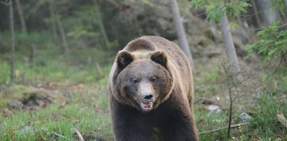 W sieci pojawiły się niepokojące nagrania. Na mieszkańców Sanoka padł blady strach. Służby apelują o ostrożność