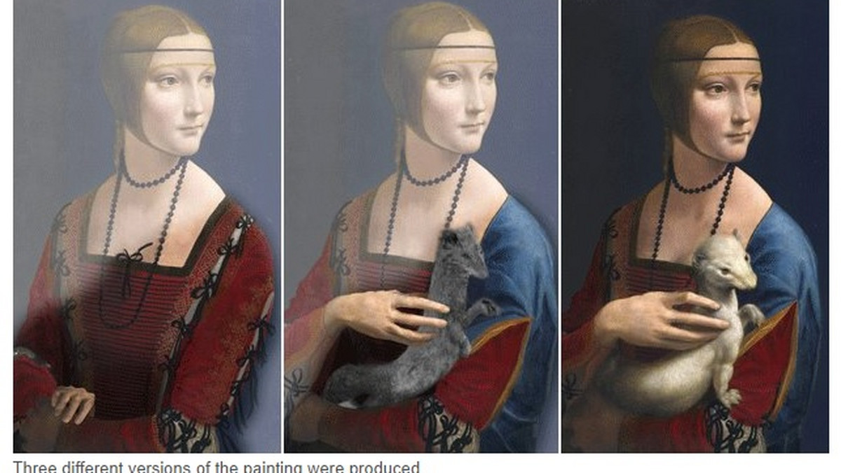 Badania francuskiego naukowca Pascala Cotte ujawniły zaskakujące informacje na temat jednego z najsłynniejszych dzieł Leonarda da Vinci — "Damy z gronostajem". Okazuje się, że sportretowana kobieta została początkowo namalowana bez zwierzęcia.