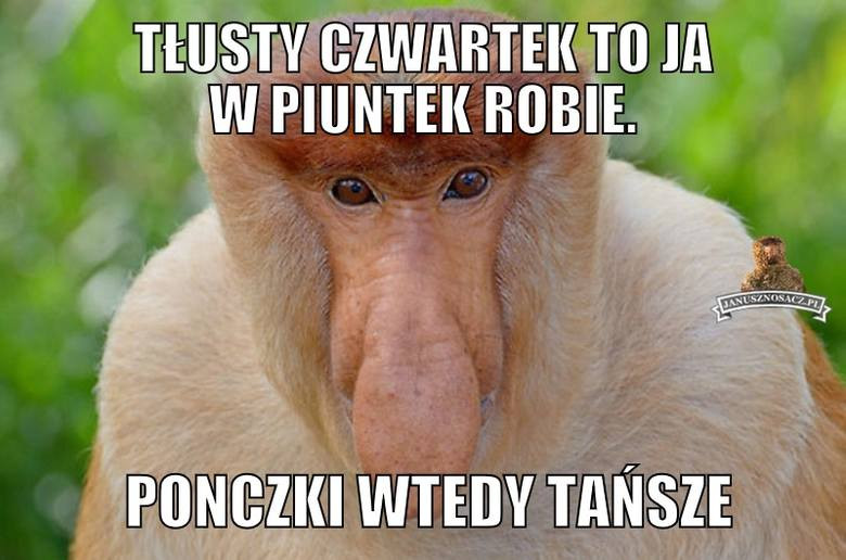 Tłusty Czwartek 2021 Najlepsze Memy Z Okazji Tłustego Czwartku