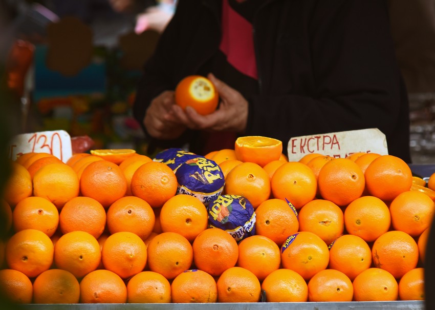 Pomorandže se neće još plantažno gajiti u Srbiji