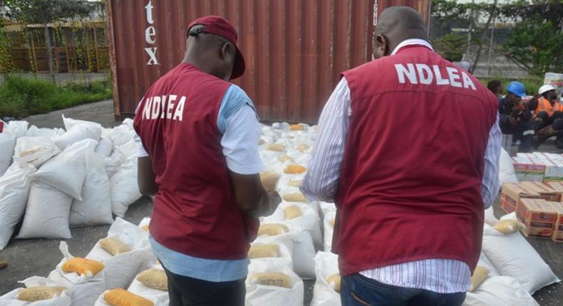 NDLEA officials (Credit: Premium Times Nigeria)