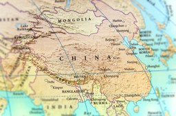 Miasto Shenzhen w Chinach zakazuje jedzenia psów i kotów