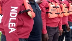 NDLEA arrests 10 suspected drug dealers in 1 month in Kano