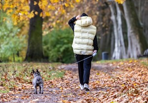 Šetnja sa psom  - ilustracija