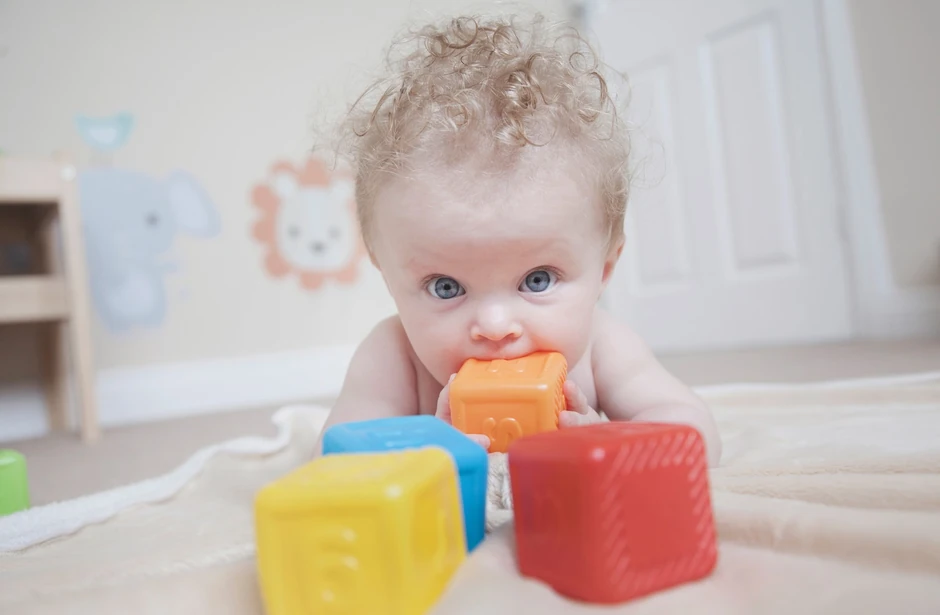 Ftalat koji ispušta plastika izaziva oštećenja bubrega i jetre