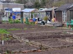 Nowa ustawa o ogrodach działkowych już obowiązuje. Kto opuści Polski Związek Działkowców?