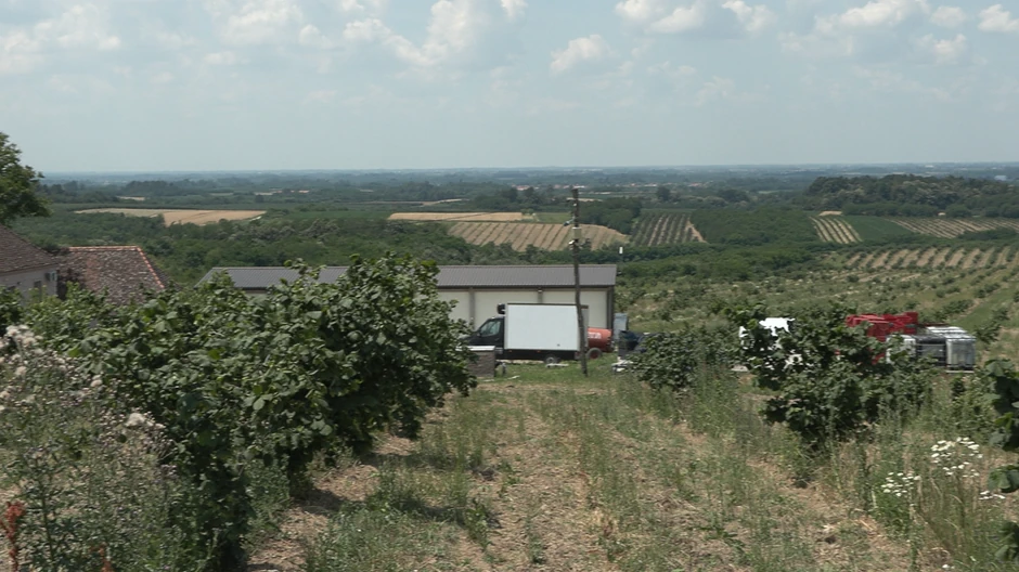 Milan Mačvan