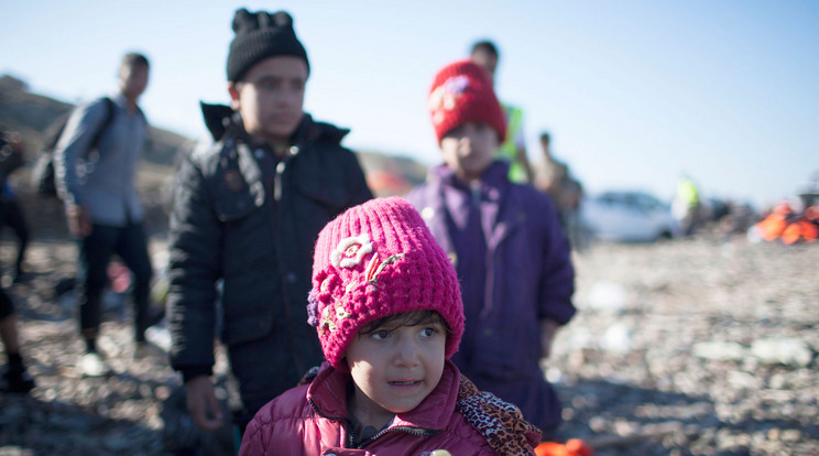 Menekülteket fogad be Csehország / Fotó: Northfoto