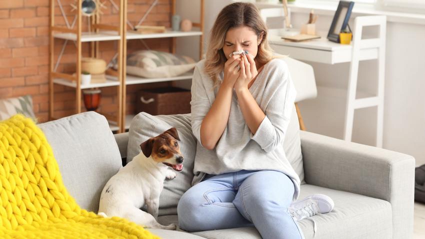 nátha megfázás orrdugulás gyulladás oka reflux