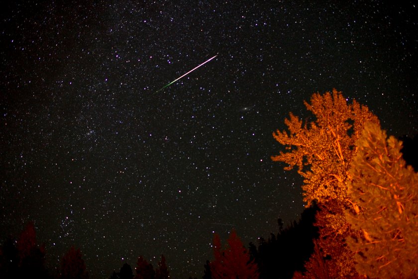 Zobacz rój Perseidów