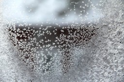 temperatury tak dotkliwe, że niektóre szkoły odwołują lekcje. wschodni