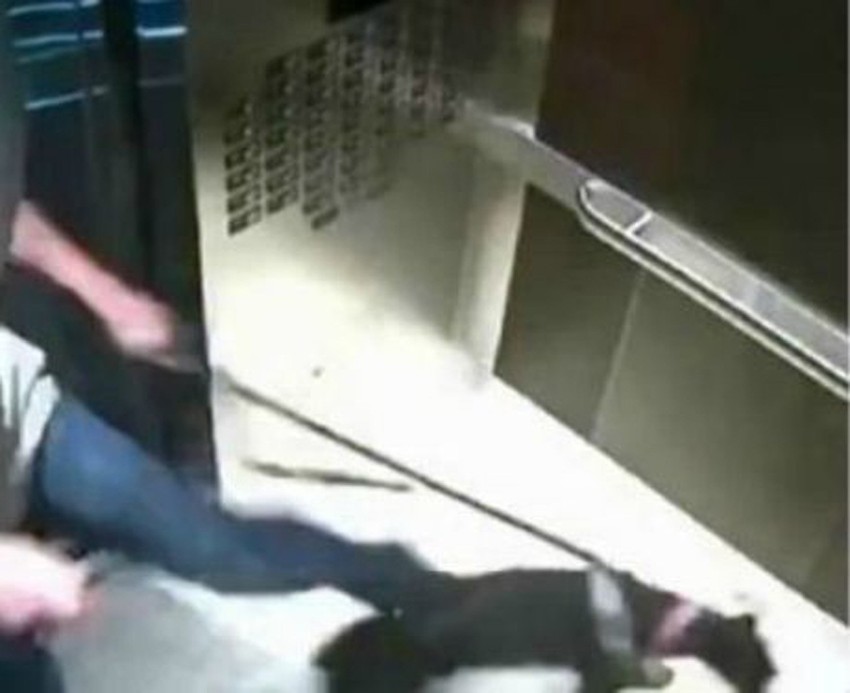 Des Hag šutira psa svog prijatelja