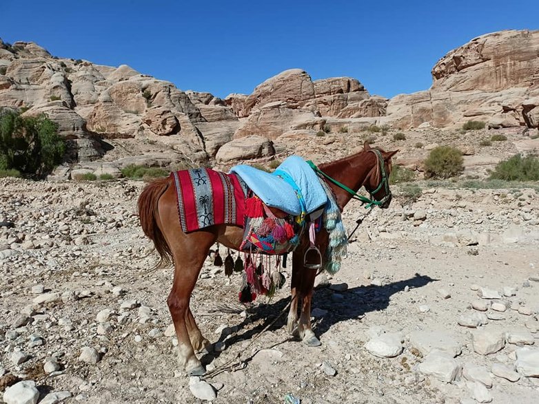 Petra