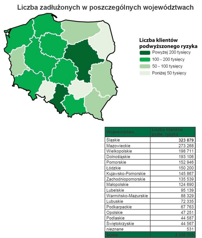 Liczba zadłużonych w poszczególnych województwach. Źródło: BIG InfoMonitor