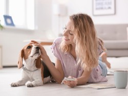 Odkryto ważną zależność pomiędzy głaskaniem psów a funkcjonowaniem mózgu!