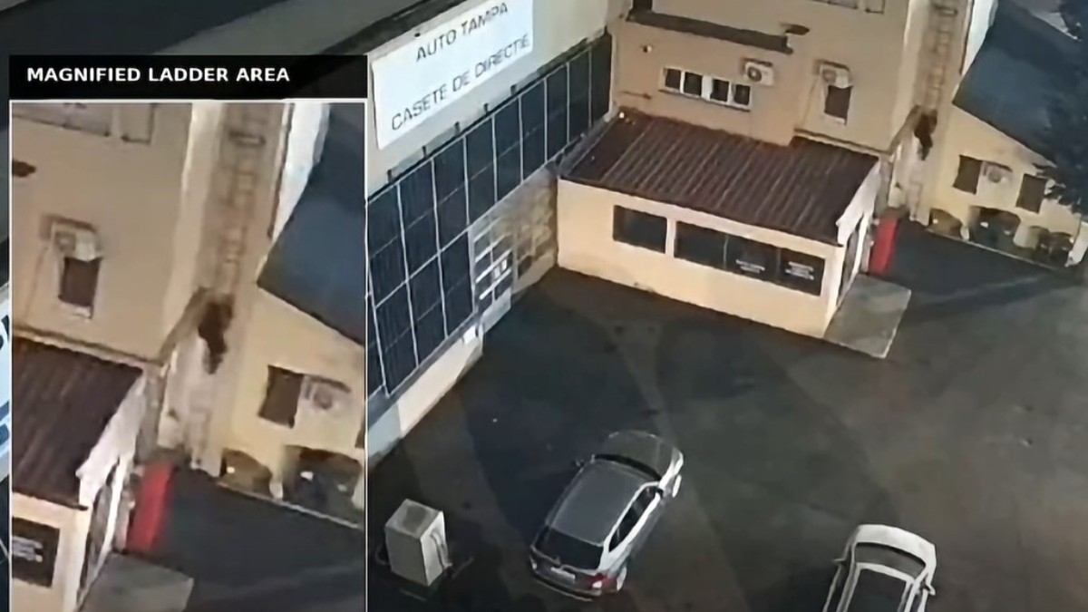 DIICOT și SRI au destructurat o rețea de sabotaj coordonată de Rusia după incendiul de lângă fabrica de arme Carfil