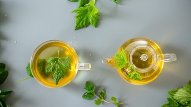 czy herbata może wzmacniać kości? nowe badania dają nadzieję starszym