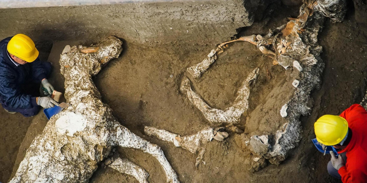 Szczątki koni w Pompejach