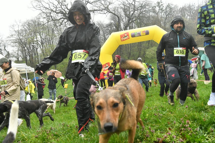  Organizator događaja je lagoto romanjolo Moko