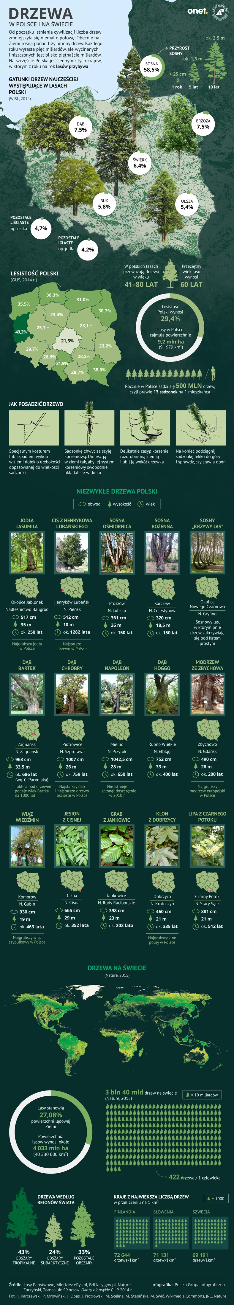 drzewa-polska-swiat-infografika-onet