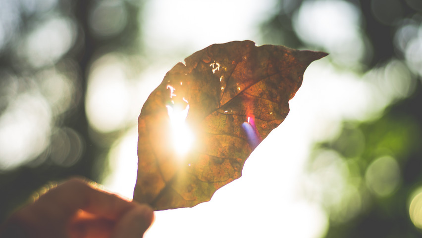 Itt az ősz, de mégsem: visszatér a hőség – Mutatjuk, mikor tetőzik 
