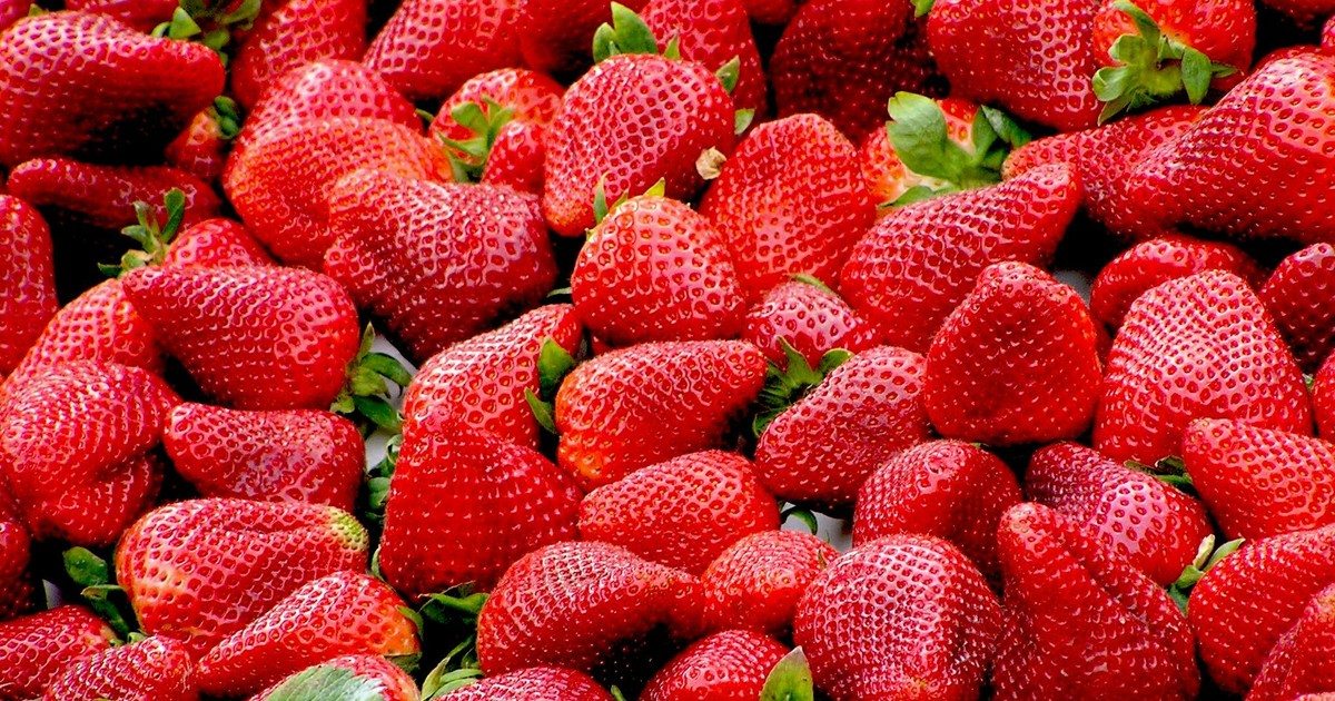 Horroráron kapható a magyarok kedvence! Ön tudja, mennyibe kerül most egy kiló eper?