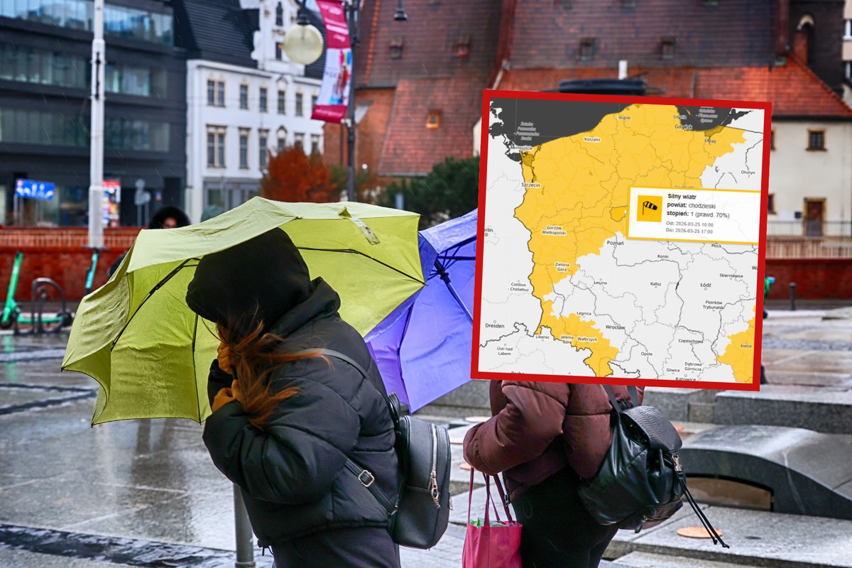 Alerty IMGW dla 7 województw. Nadciąga silny wiatr