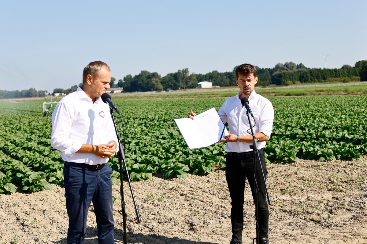 Michał Kołodziejczak, Donald Tusk
