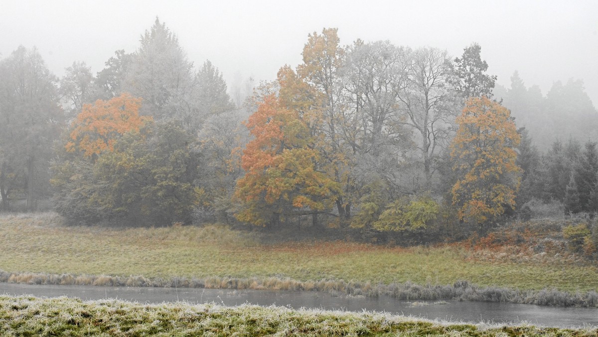 W Lubuskiem podczas weekendu mogą wystąpić w nocy przygruntowe przymrozki. Przy podłożu temperatura może spaść do -4 stopni Celsjusza - poinformowało Wojewódzkie Centrum Zarządzania Kryzysowego w Gorzowie Wlkp.