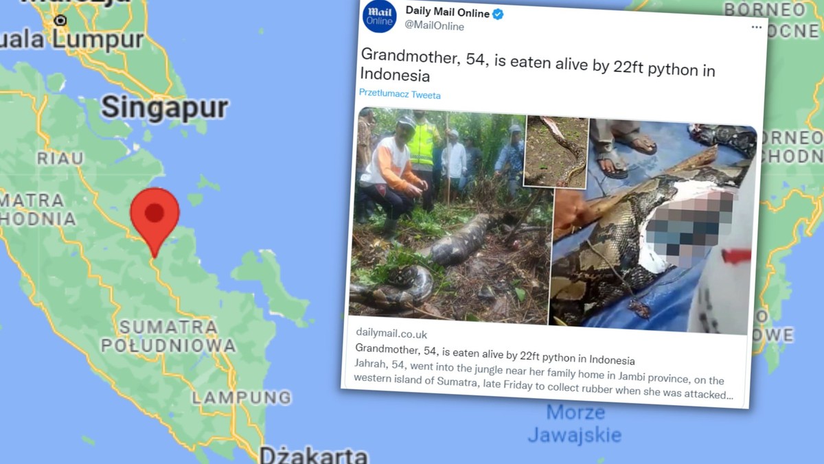 Pyton zjadł ją żywcem. Mieszkańcy indonezyjskiej wioski żyją w strachu