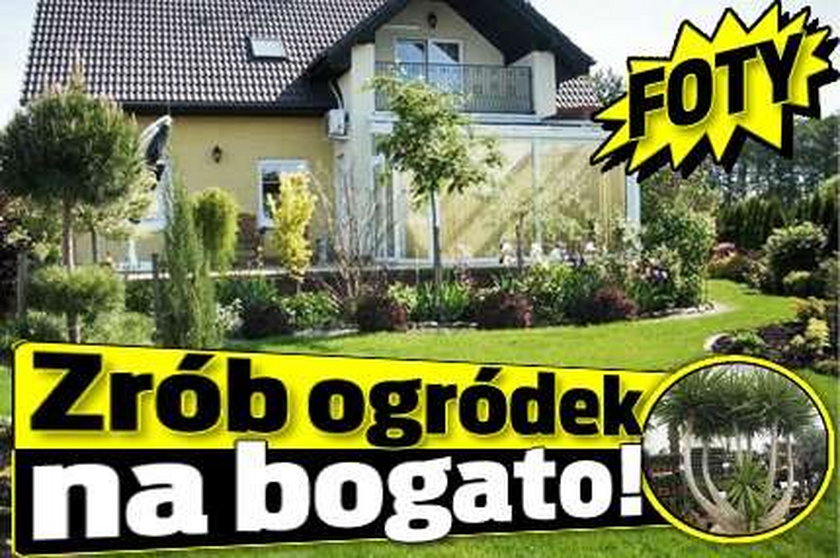 Zrób ogródek na bogato! FOTY!