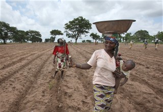 Na inflację lepsze krowy. Jak to się robi w Zimbabwe