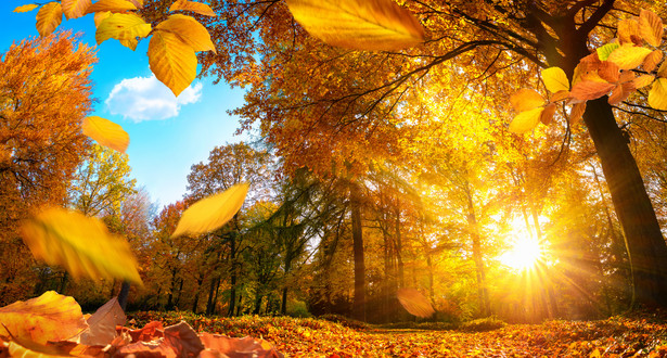 IMGW: Październikowy rekord ciepła. 29,2 stopnia Celsjusza w Legnicy