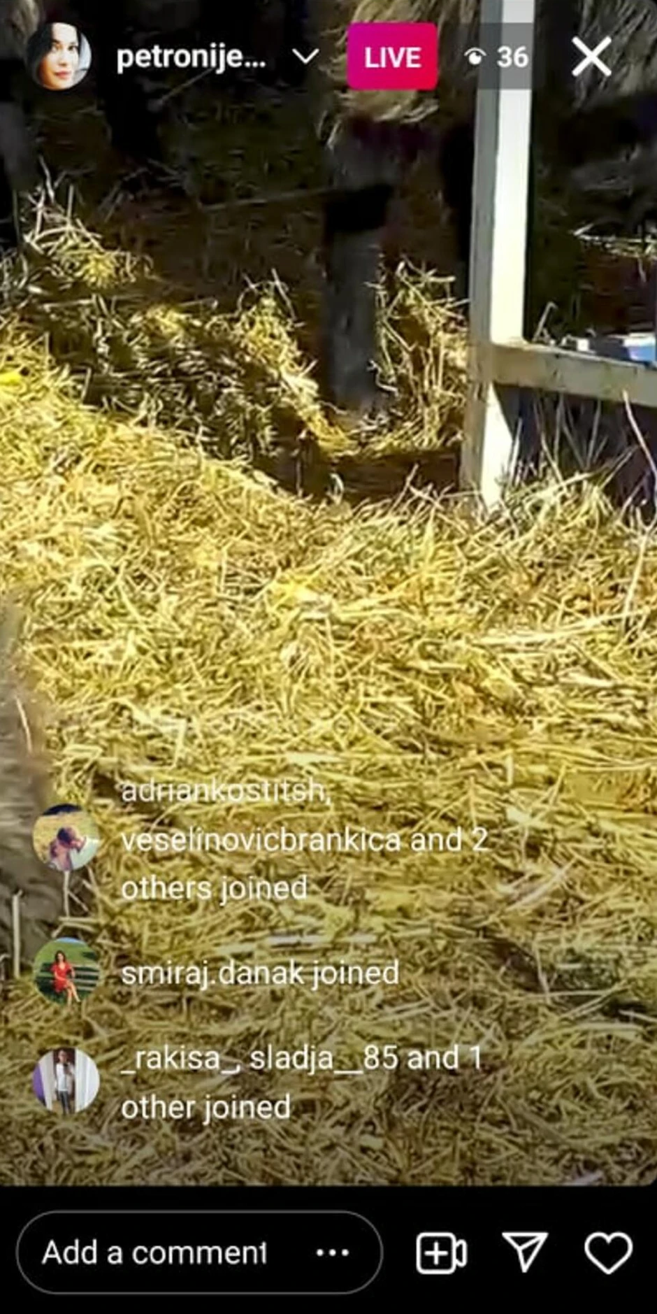 Marija Petronijević