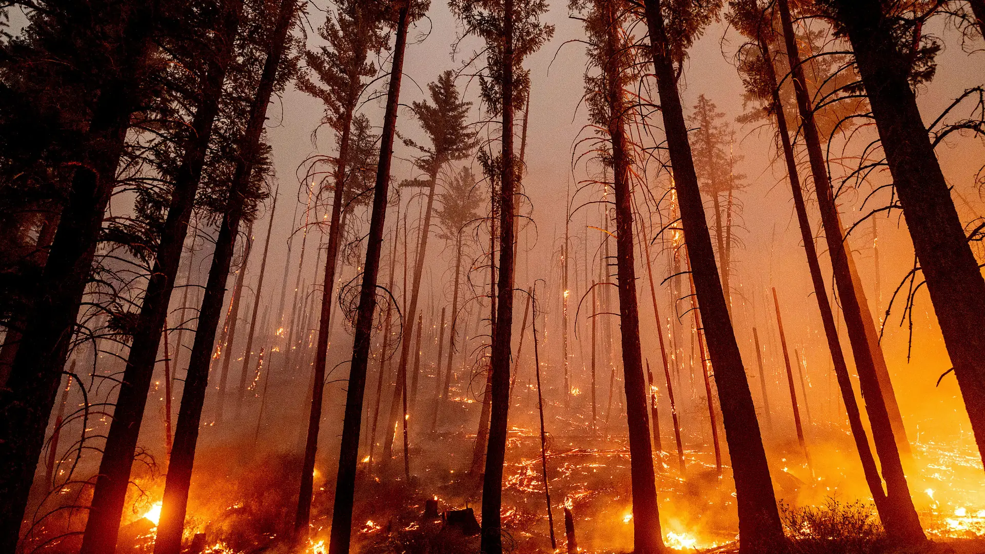 Zmiany klimatu przyspieszyły. 7 najbardziej niszczycielskich wydarzeń w 2021 r.