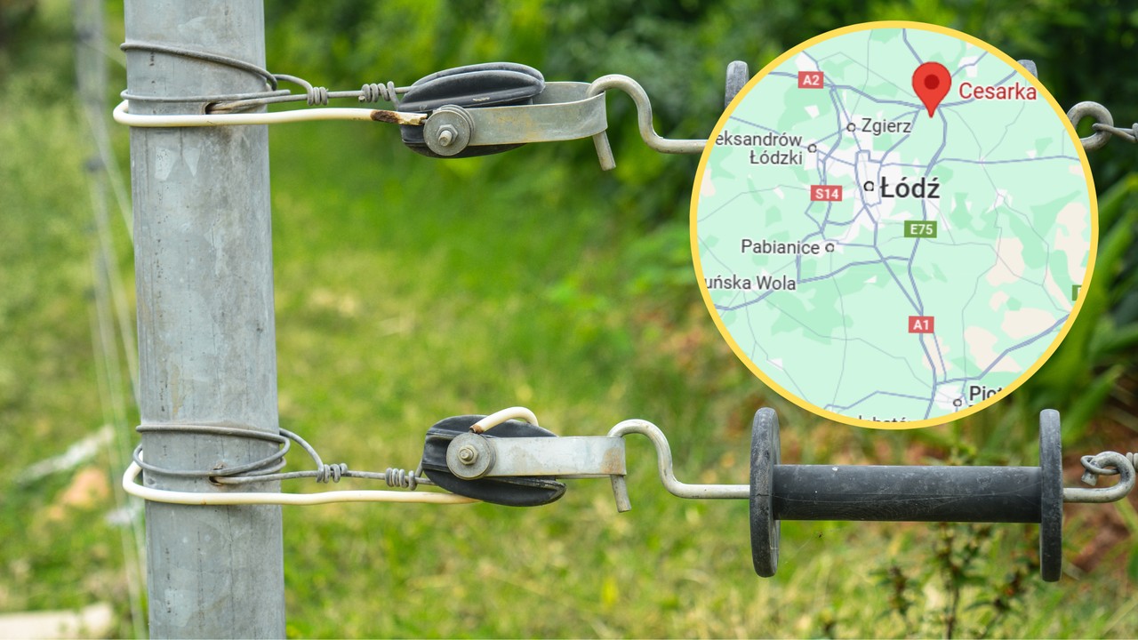 Ruszyła na pomoc psu. W ośrodku wczasowym poraził ją utajony "elektryczny pastuch"