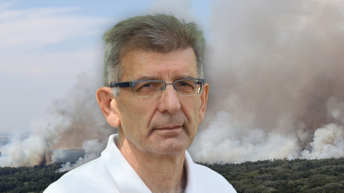  Nedeljko Todorović