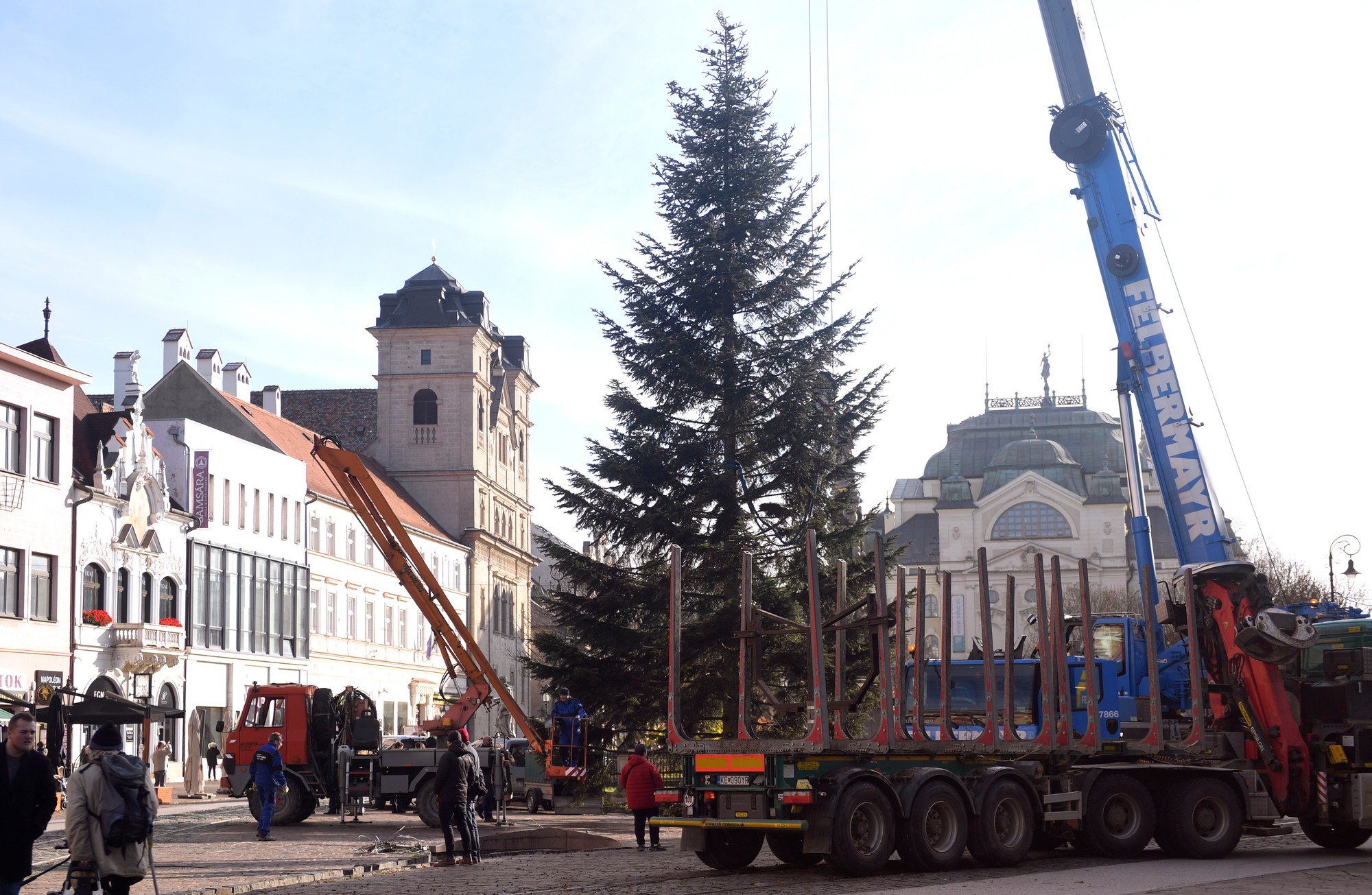 Centrum Košíc bude počas vianočných sviatkov zdobiť 20 metrov vysoká jedľa biela.