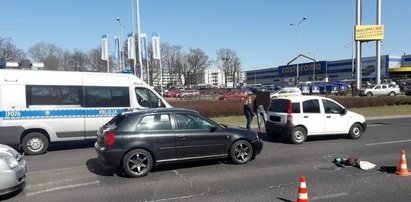 Tragedia na pasach. Chwilę później policjant oszukał śmierć!