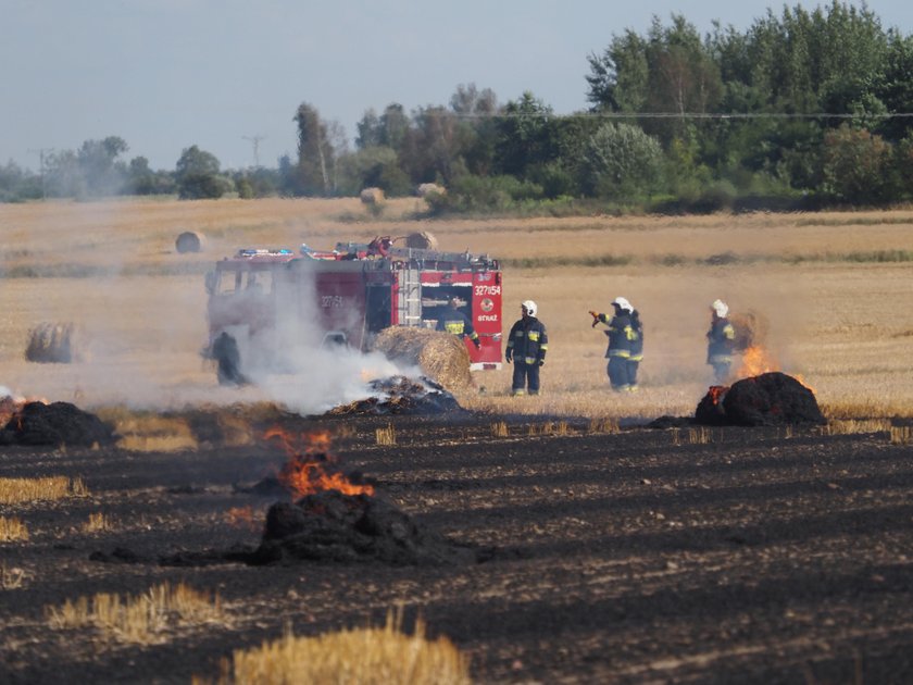 Pożar ścierniska. To podpalenie