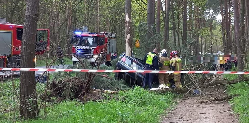 Prosta droga i śmierć. Tragedia pod Toruniem. Świadkowie mówią o tym, co się wydarzyło przed wypadkiem