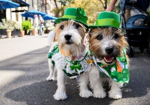 BBC | Foto: BIANCA DE MARCHI/EPA-EFE/REX/Shutterstock