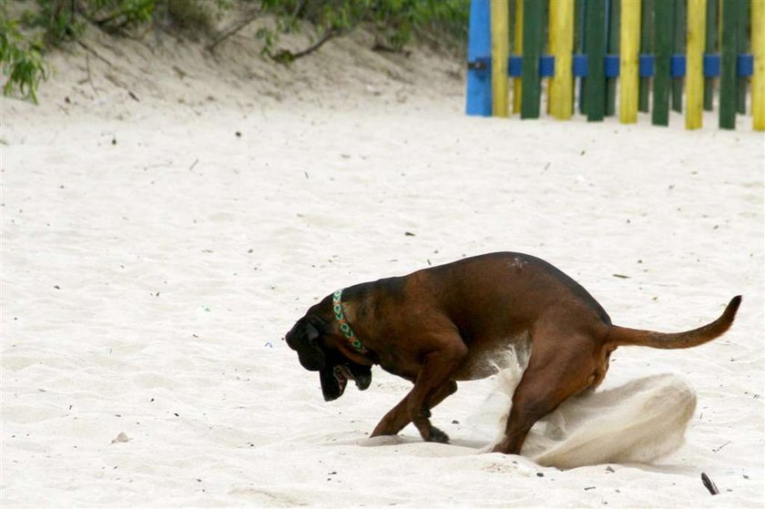 Co nas denerwuje na plaży